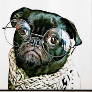 Meet your Posher, Perla